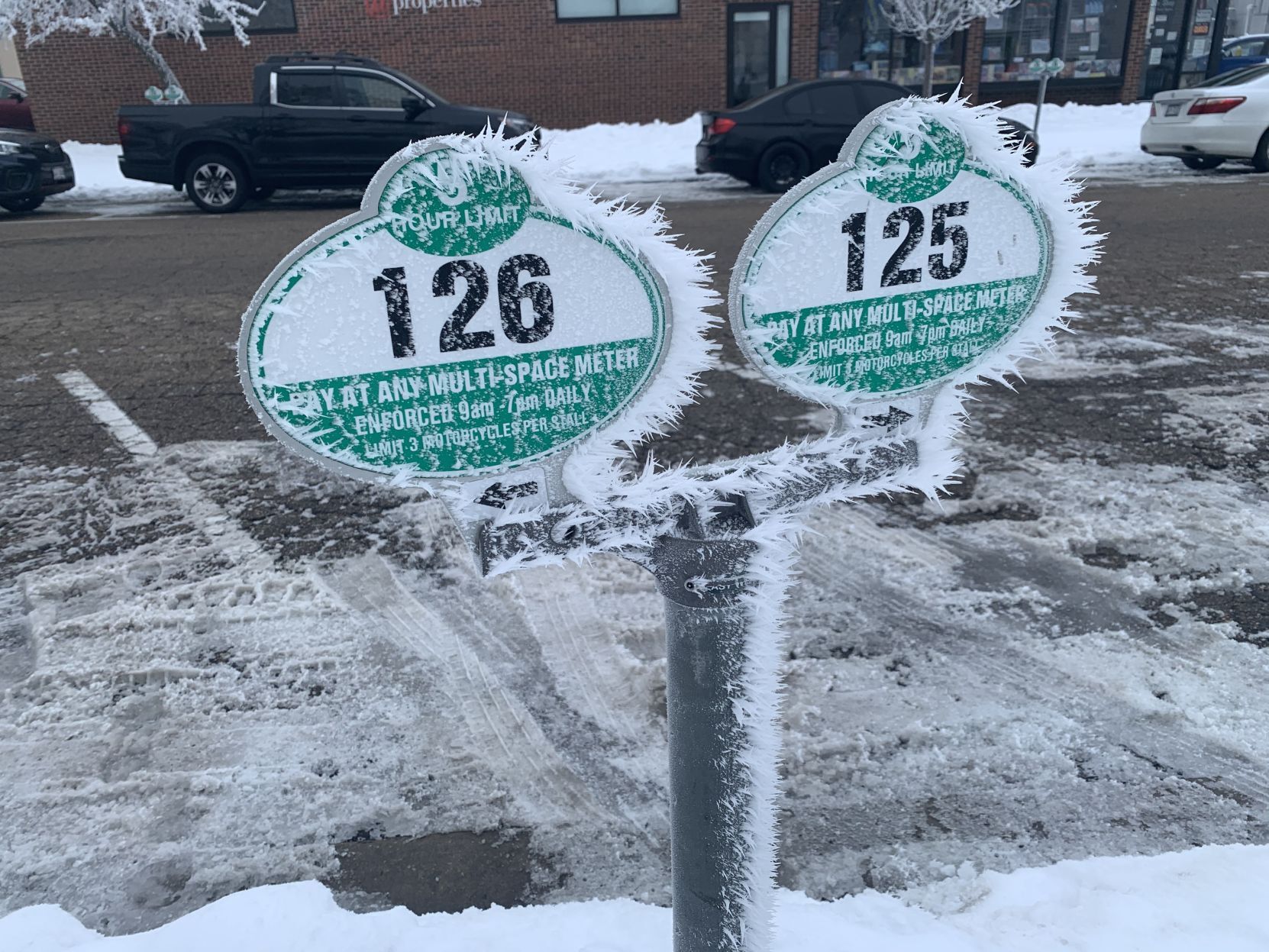 Parking meters beautified
